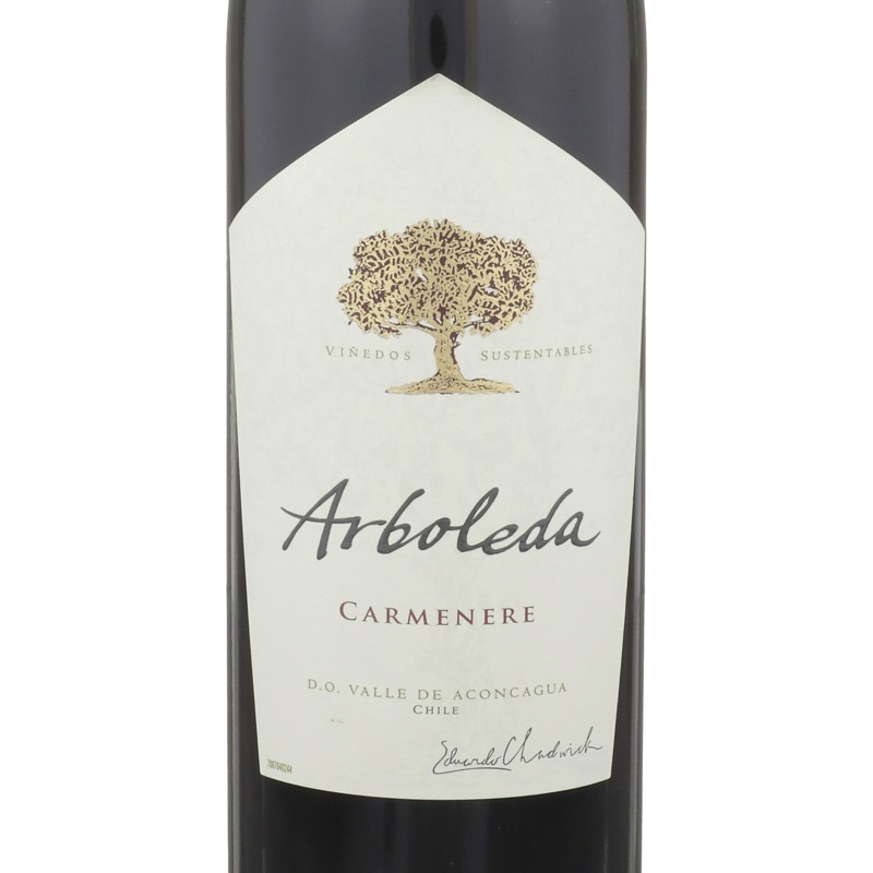 Arboleda Carmenere Aconcagua Valley 2020 750ML