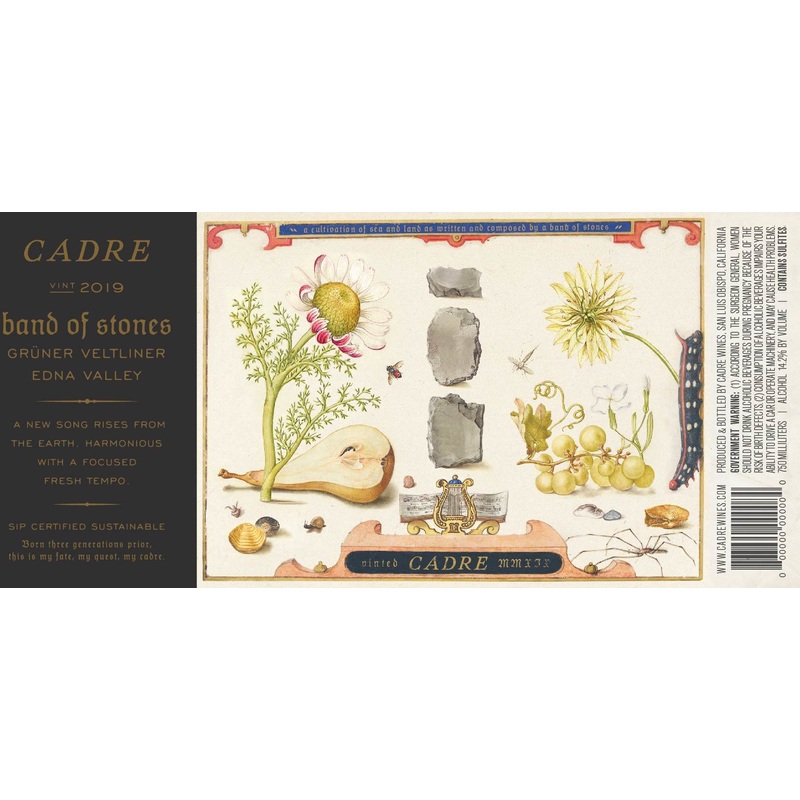 CADRE GRUNER VELTLINER BAND OF STONES EDNA VALLEY 2021 750 mL