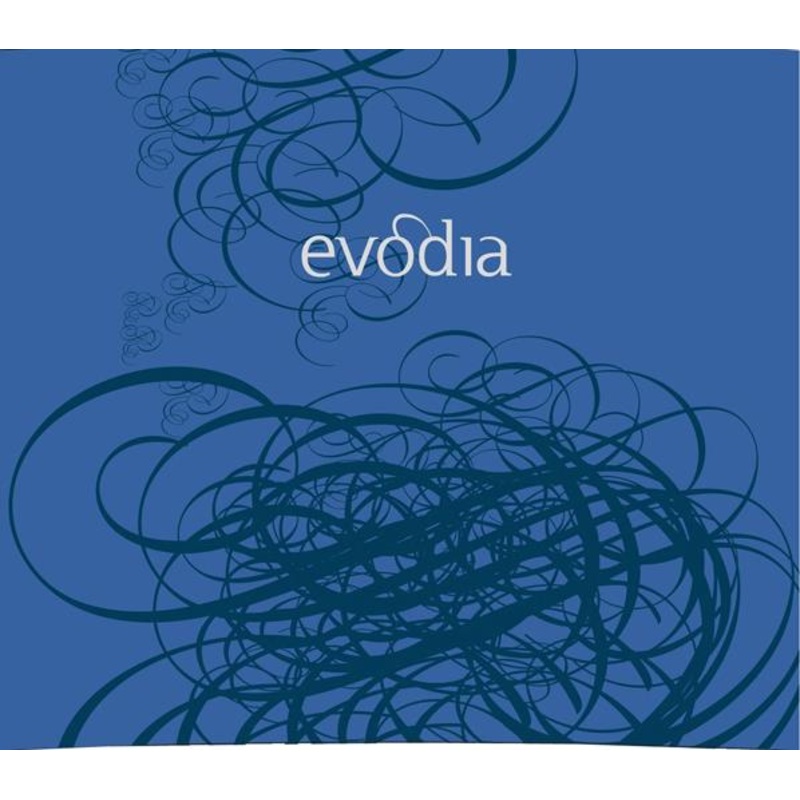 EVODIA GARNACHA VV 2019 750 mL