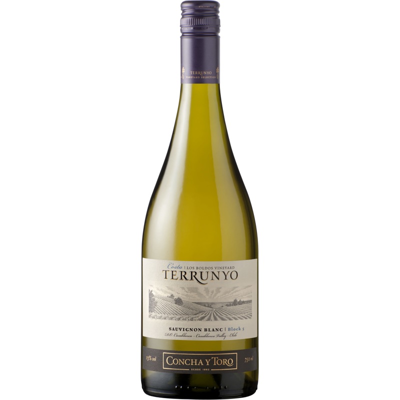 Concha y Toro 2018 Concha Y Toro Terrunyo Sauvignon Blanc