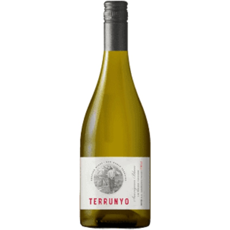 Concha y Toro 2020 Concha Y Toro Terrunyo Sauvignon Blanc