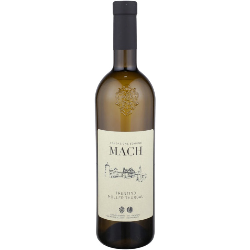 ISTITUTO SAN MICHELE M THURGAU 21