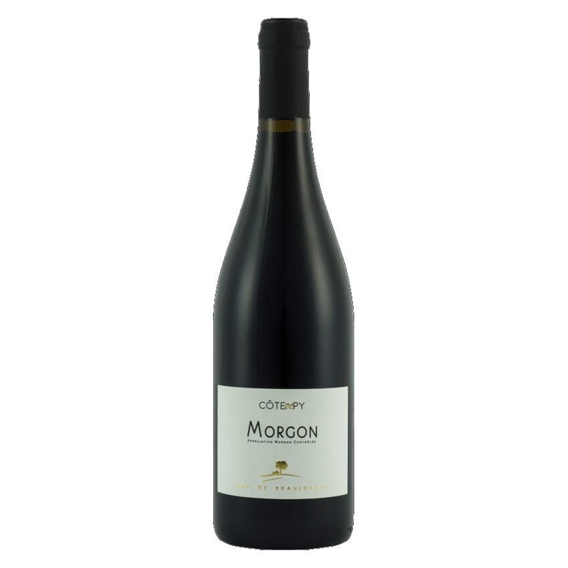 Morgon, Cote De Py, Manoir du Carra