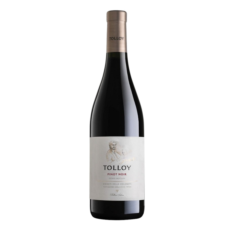 TOLLOY PINOT NOIR 20