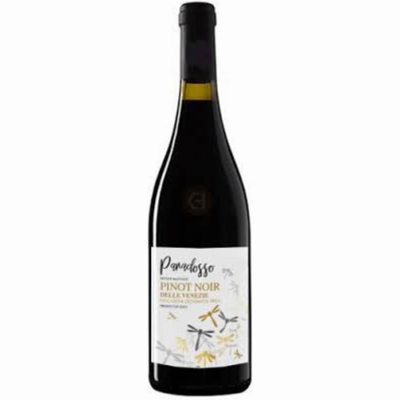 Paradosso Pinot Noir Trevenezie 2022 750ml