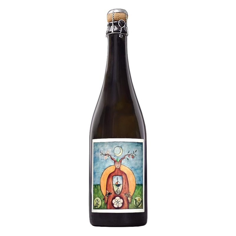 South Hill Cider Cosmos Transformed Cider 750ml